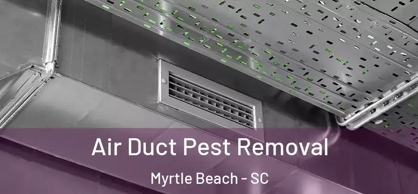 Air Duct Pest Removal Myrtle Beach - SC