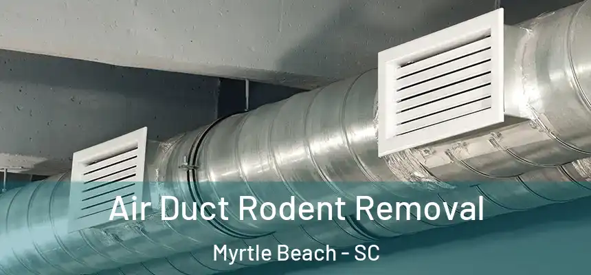 Air Duct Rodent Removal Myrtle Beach - SC