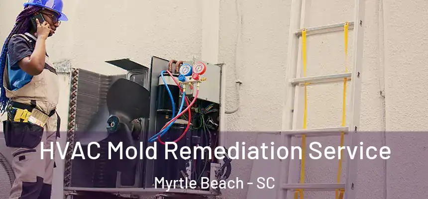HVAC Mold Remediation Service Myrtle Beach - SC