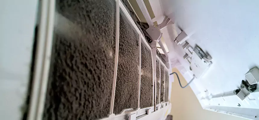 Preventive Air Duct Bacteria Removal in Myrtle Beach