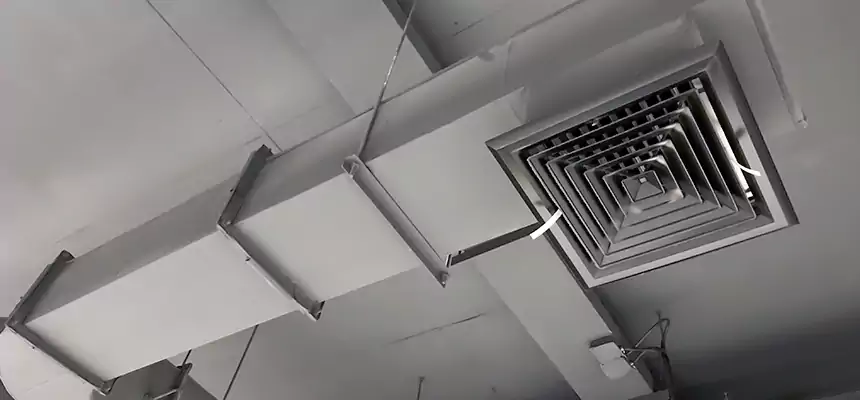 Our Pest Removal From Ducts Services in Myrtle Beach, SC