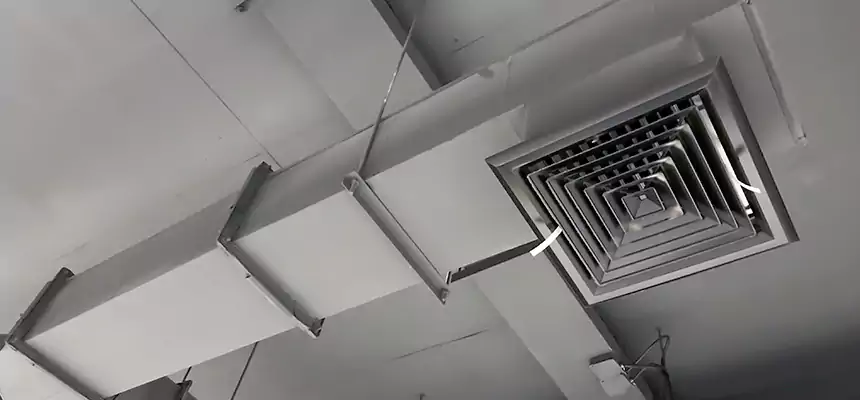 Our Rodent Droppings In Vents Services in Myrtle Beach, SC