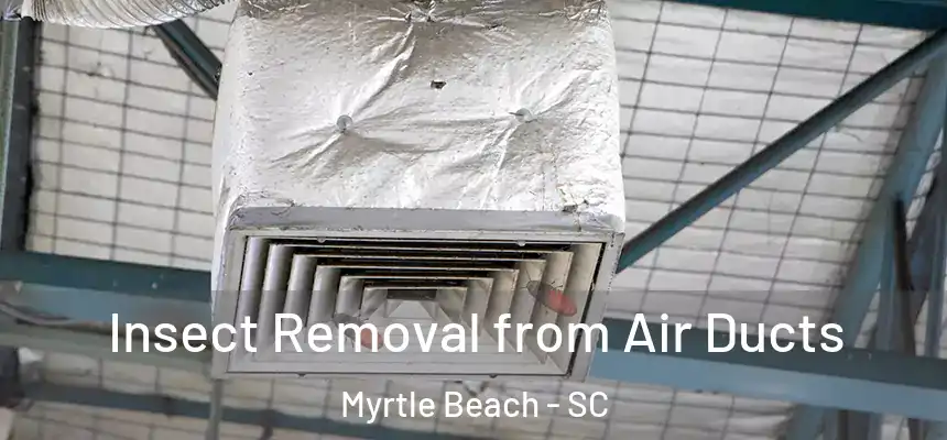 Insect Removal from Air Ducts Myrtle Beach - SC