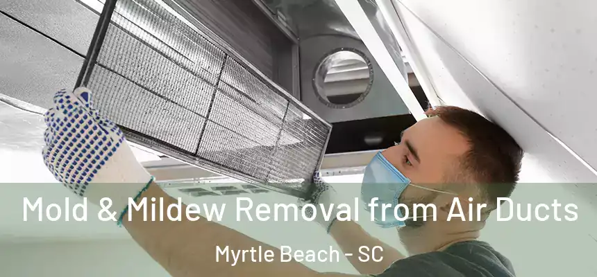 Mold & Mildew Removal from Air Ducts Myrtle Beach - SC