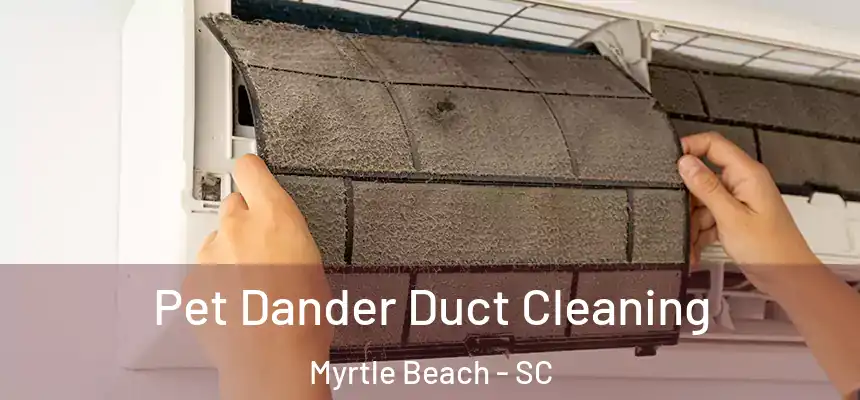 Pet Dander Duct Cleaning Myrtle Beach - SC