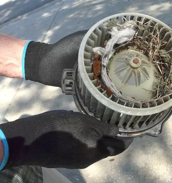 About Air Duct Rat Removal in Myrtle Beach, SC