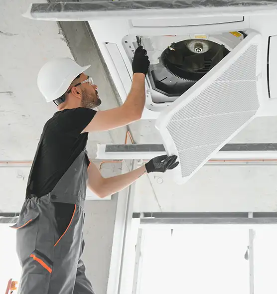 About Air Duct Rodent Removal in Myrtle Beach, SC