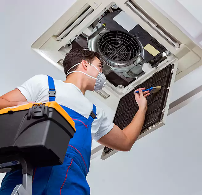 Why Homeowners & Businesses Trust Us in Myrtle Beach, SC