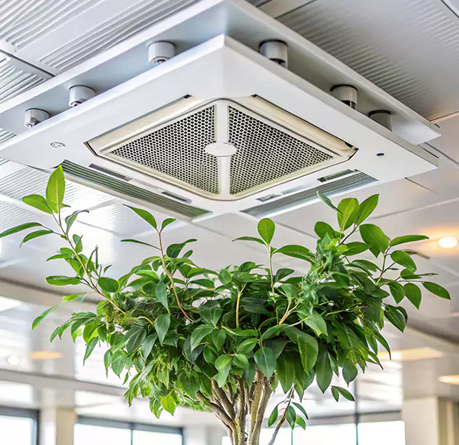 Why Homeowners & Businesses Trust Us in Myrtle Beach, SC?