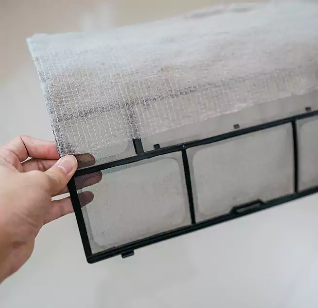 Why Homeowners & Businesses Trust Us in Myrtle Beach, SC?